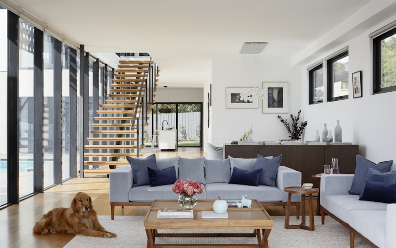 house inside dog