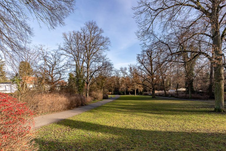 Blick in den Erlenbusch-Park