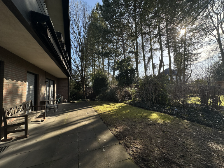 Blick in den Garten