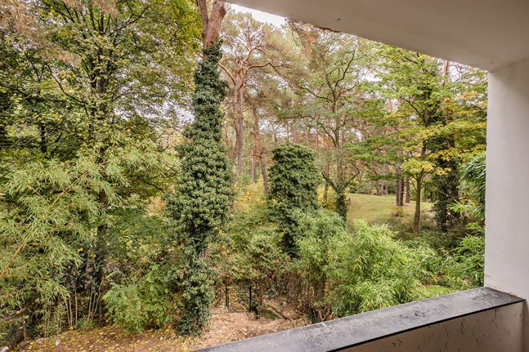 Blick in den Garten