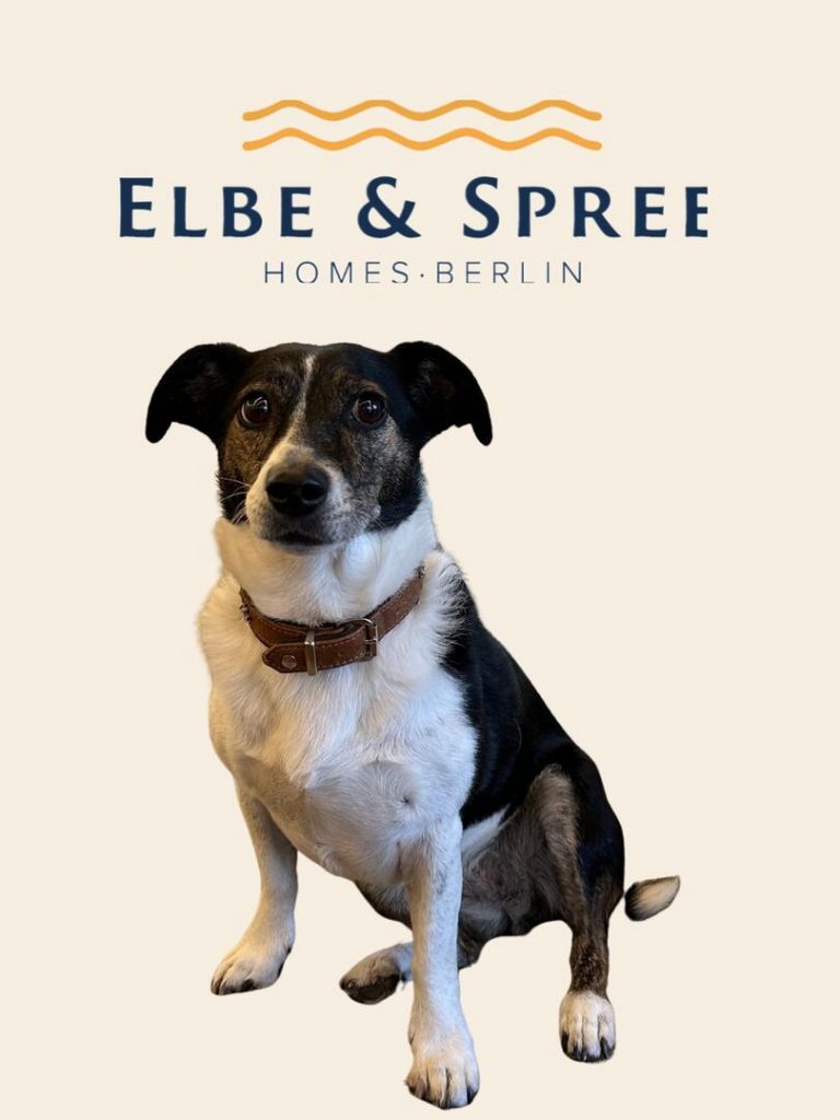 Izzy – Feelgood Manager Elbe & Spree Homes Berlin