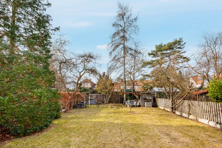 Blick in den Garten