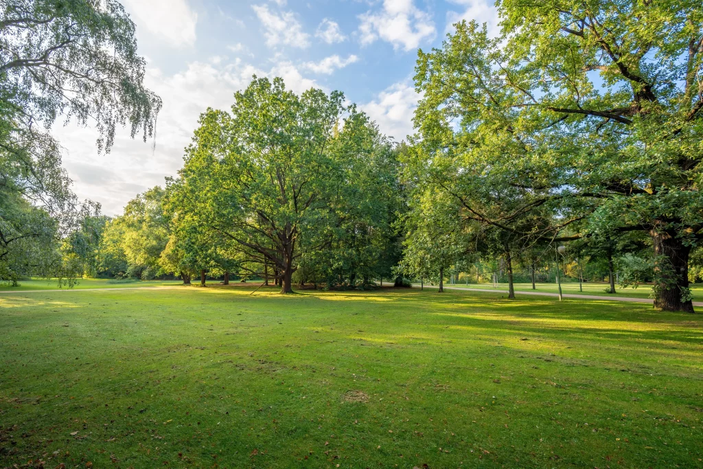 berlin sommer park spree lifestyle entspannung