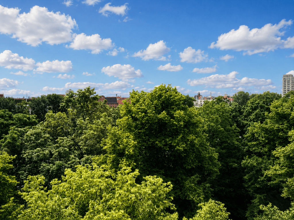 Blick vom Balkon