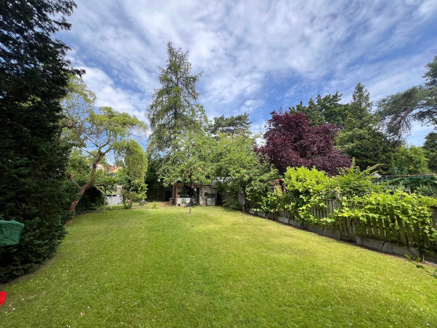 Blick in den Garten