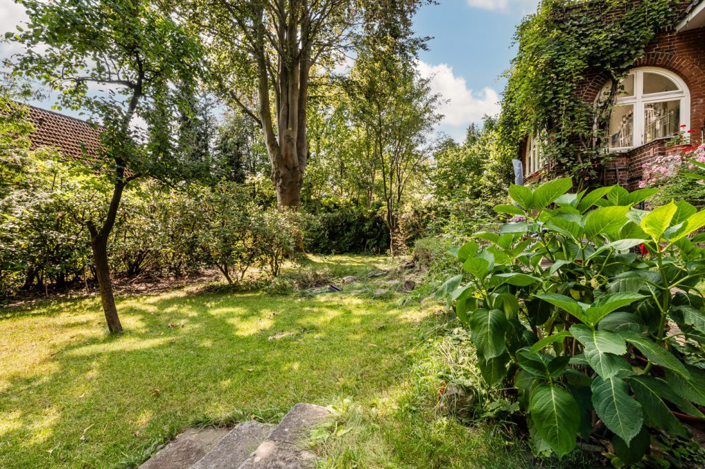 Blick in den Garten