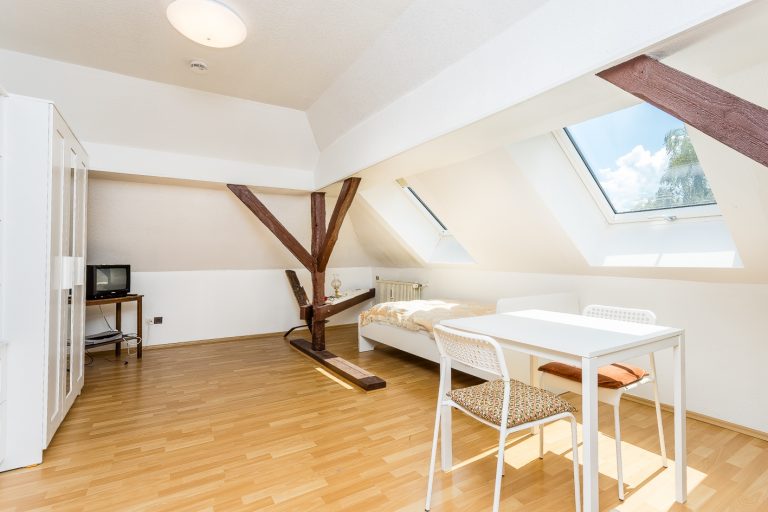 ZImmer DG