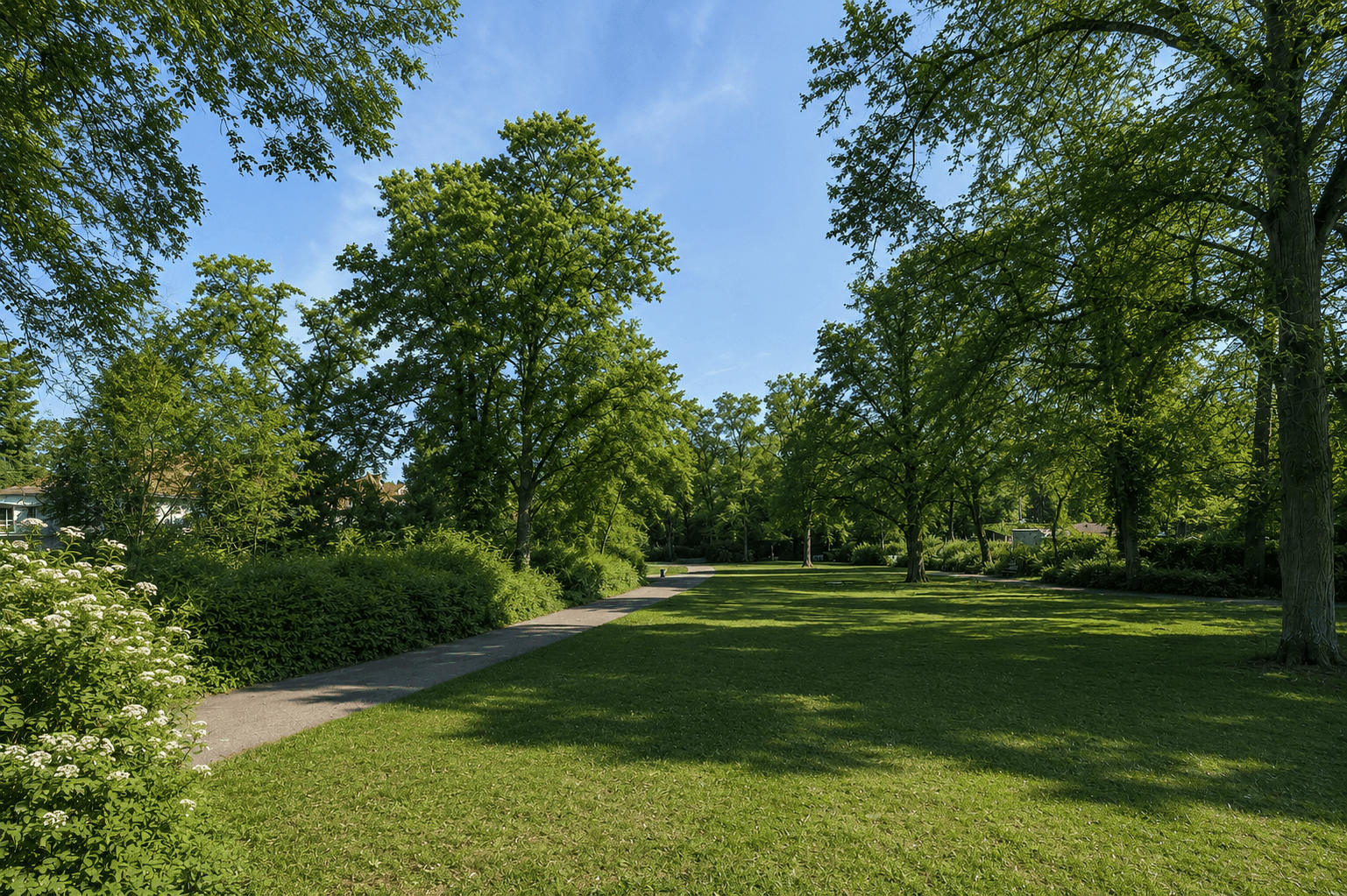 Blick in den Erlenbusch-Park