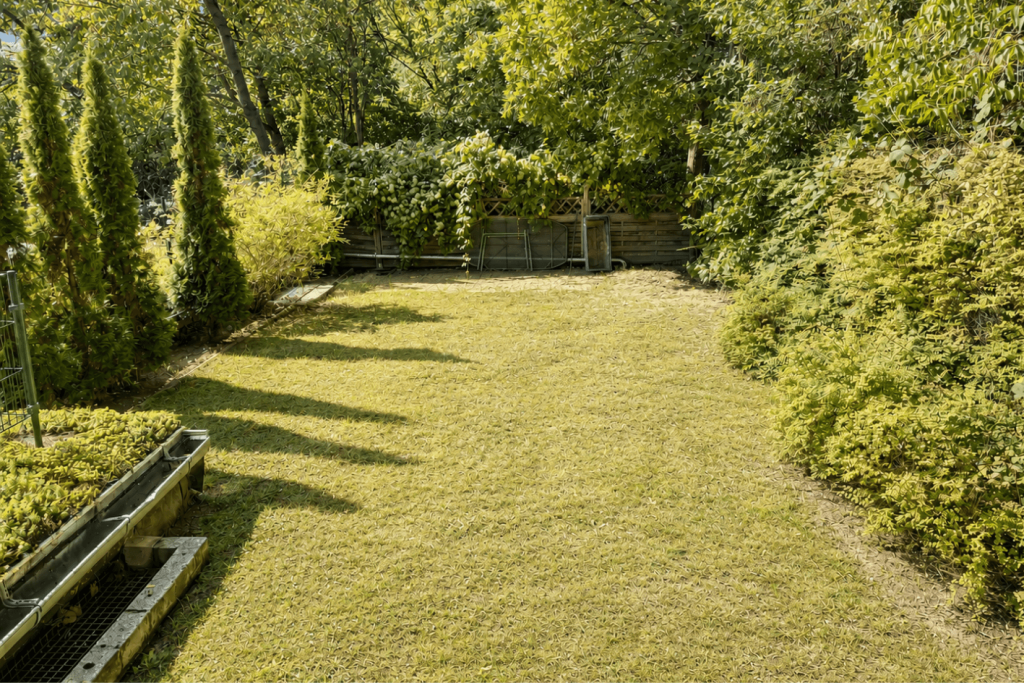 Gemeinschaftsgarten